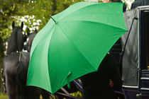 Green Umbrella von Sheona Hamilton-Grant