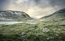 Strynefjellet by Severin Sadjina