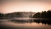 Evening at the Lake II by Severin Sadjina