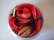 Petals in Vase von Conor Murphy