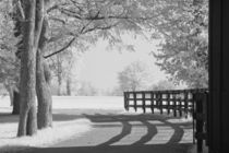 Black Plank Fence and Shadows at Keeneland by Michael Kloth