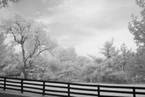 Spring Pasture in Central Kentucky by Michael Kloth