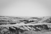 Train and Landscape in Eastern Washington by Michael Kloth