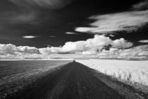 Eastern Washington Farm Lane by Michael Kloth