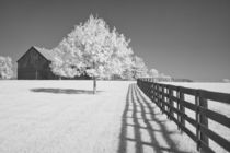 Fence and Barn by Michael Kloth