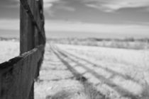 Three Plank Fence by Michael Kloth