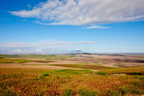 Mid-Columbia Farmland von Michael Kloth