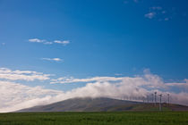 Wind Farm and Wheat by Michael Kloth