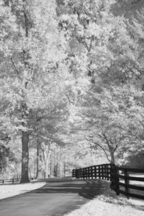 Fence and Shadows by Michael Kloth