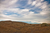 Rattlesnake Mountain Wildlife Area by Michael Kloth