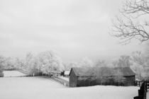 Central Kentucky Farm in Early Spring by Michael Kloth