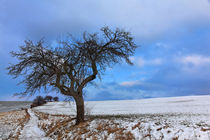 Winterlandschaft by Wolfgang Dufner