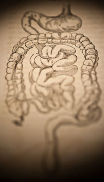 Intestines von Mark Strozier