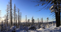 Winterpanorama am Brocken 10 von Karina Baumgart
