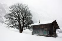 Melancholie des Winters von Bettina Schnittert