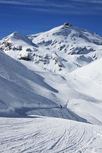 Schilthorn von Bettina Schnittert