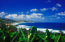 Bathsheba, Barbados von Melissa Salter