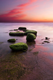 Symphony of color von Jorge Maia