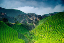 Longsheng village by Alexey Galyzin