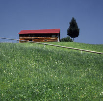 The Path von Razvan Anghelescu