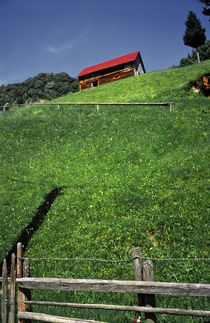 The Hut von Razvan Anghelescu