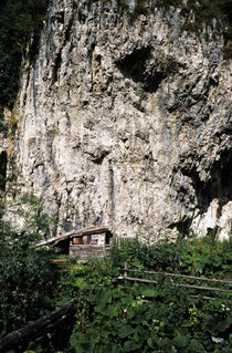 Shelter von Razvan Anghelescu