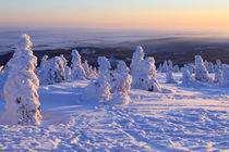 Winterlandschaft am Brocken im Harz 14 von Karina Baumgart