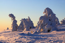 Winterlandschaft am Brocken im Harz 15 von Karina Baumgart