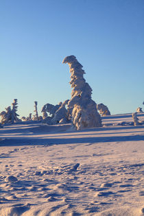 Winterlandschaft am Brocken im Harz 16 by Karina Baumgart