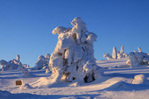 Winterlandschaft am Brocken im Harz 17 von Karina Baumgart