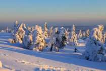 Winterlandschaft am Brocken im Harz 18 by Karina Baumgart