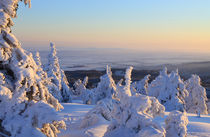 Winterlandschaft am Brocken im Harz 19 by Karina Baumgart