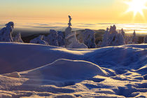 Winterlandschaft am Brocken im Harz 22 by Karina Baumgart