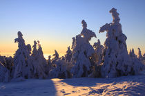 Winterlandschaft am Brocken im Harz 25 by Karina Baumgart