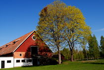 Dorf in Schweden  von tinadefortunata