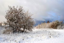 Pulverschnee von tinadefortunata