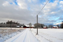 Weg ins Dorf by tinadefortunata