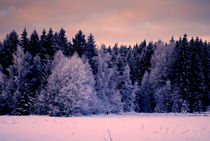 märchenhafter Wald von tinadefortunata