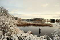 Winter am See by tinadefortunata