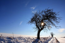 Winterlandschaft von Wolfgang Dufner