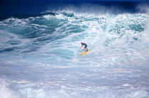 Remains of a Monster, Waimea Bay North Shore Oahu Hawaii von Kevin W.  Smith