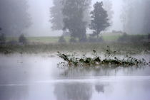 Herbst by tinadefortunata