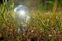 Lit bulb on grass von Sami Sarkis Photography
