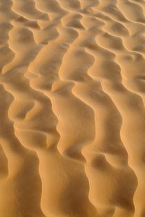 Close-up of sand dune pattern von Sami Sarkis Photography