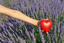 Holding heartshape in lavender field by Sami Sarkis Photography