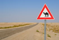 Camels crossing road sign von Sami Sarkis Photography
