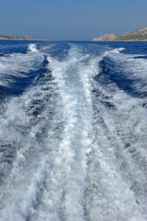 Boat wake and Maire Island von Sami Sarkis Photography