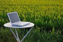 Laptop on table by a wheat field at sunset by Sami Sarkis Photography