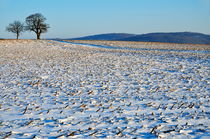 Snowy fields in winter von Sami Sarkis Photography