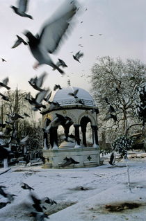 Pigeons flying near a fountain under the snow by Sami Sarkis Photography